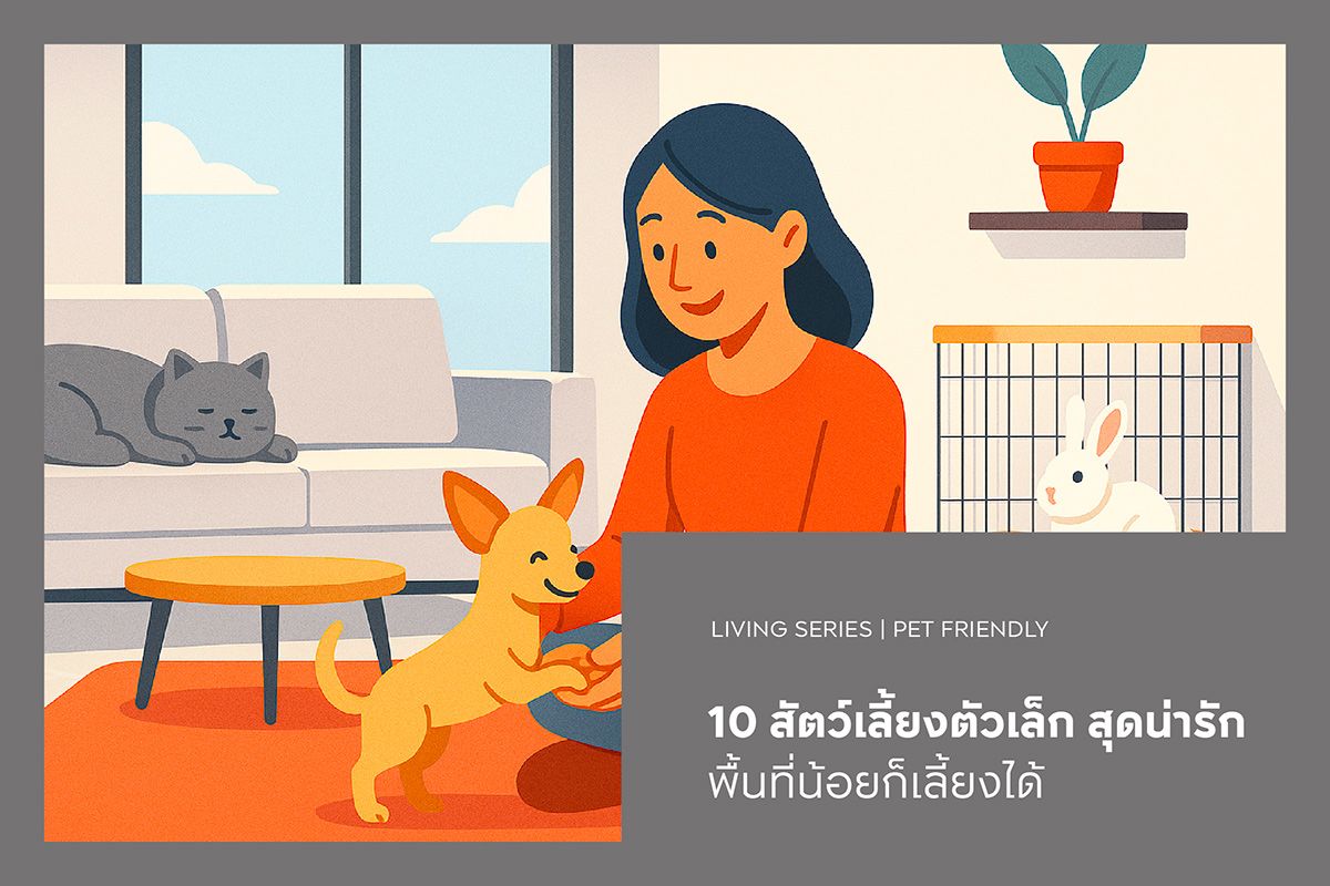 10 สัตว์เลี้ยงตัวเล็ก สุดน่ารัก พื้นที่น้อยก็เลี้ยงได้