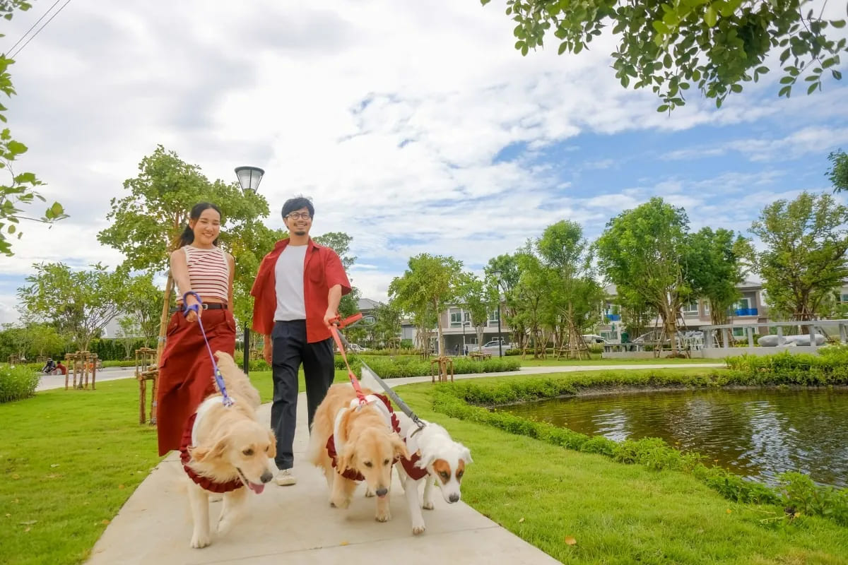 08_phetkasem-recommended-townhome.jpg ส่วนกลางในโครงการ PLENO เพชรเกษม 91