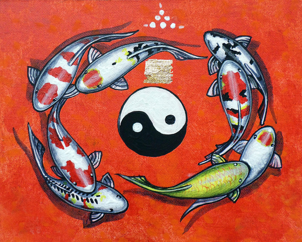 ภาพปลาคาร์ป ภาพมงคลเรียกทรัพย์