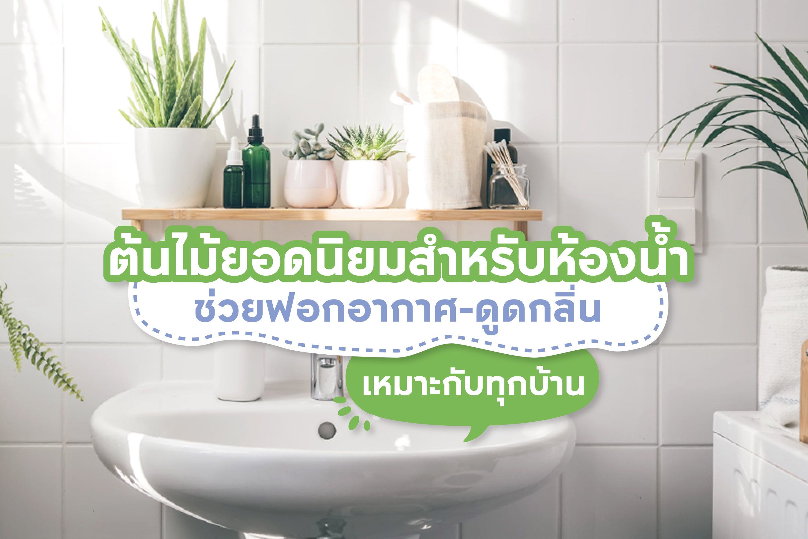 15 ต้นไม้ยอดนิยมสำหรับห้องน้ำ ช่วยฟอกอากาศ-ดูดกลิ่น เหมาะกับทุกบ้าน