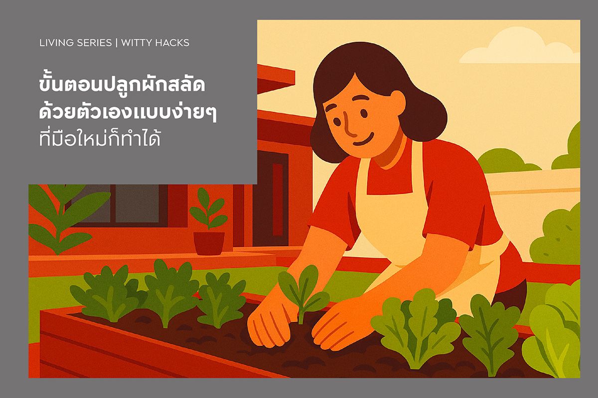 ขั้นตอนปลูกผักสลัดด้วยตัวเองแบบง่ายๆ ที่มือใหม่ก็ทำได้