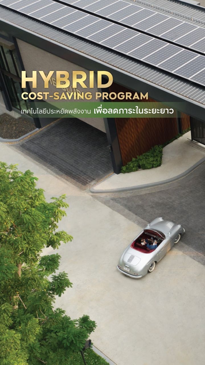 HYBRID COST-SAVING PROGRAM