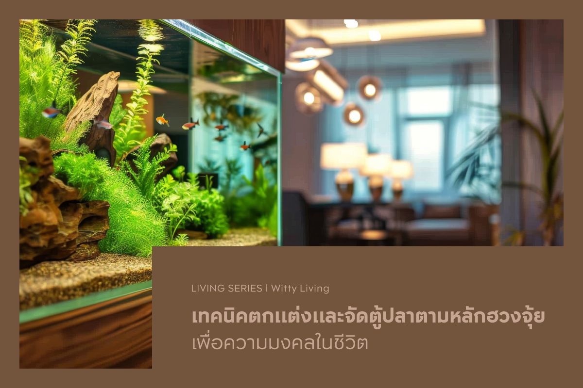 เทคนิคตกแต่งและจัดตู้ปลาตามหลักฮวงจุ้ย เพื่อความมงคลในชีวิต