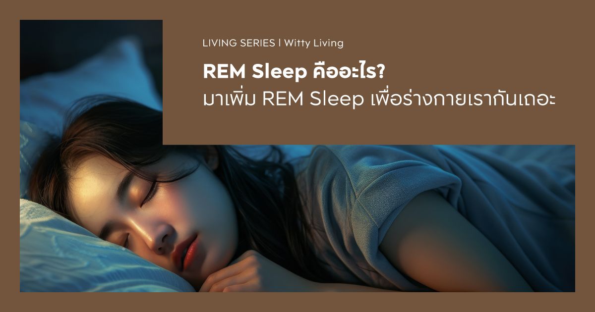 REM Sleep คืออะไร? มาเพิ่ม REM Sleep เพื่อร่างกายเรากันเถอะ | AP Thai
