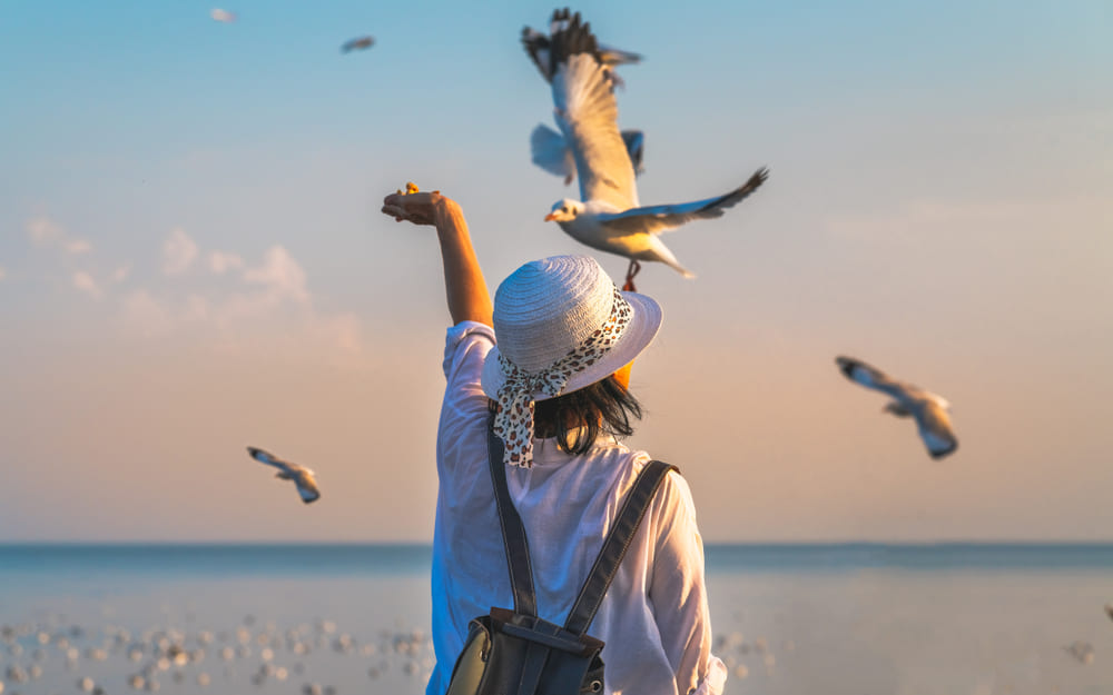 รายล้อมด้วยสิ่งอำนวยความสะดวกครบครัน โครงการบ้านแฝดสมุทรปราการ