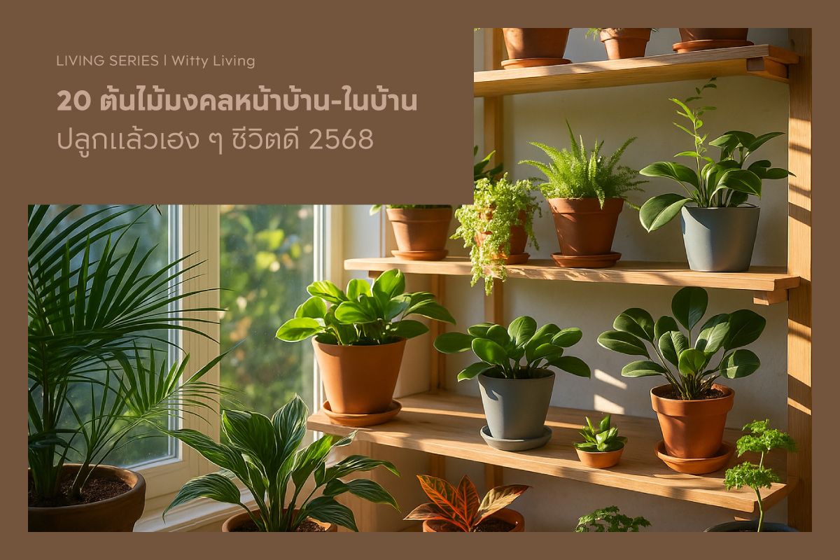 20 ต้นไม้มงคลหน้าบ้าน-ในบ้าน ปลูกแล้วเฮง ๆ ชีวิตดี 2568