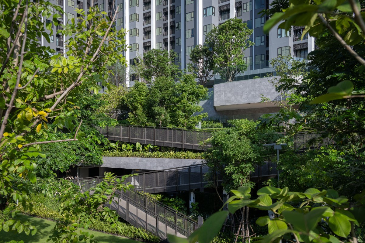 โครงการ LIFE สาทร เซียร์รา