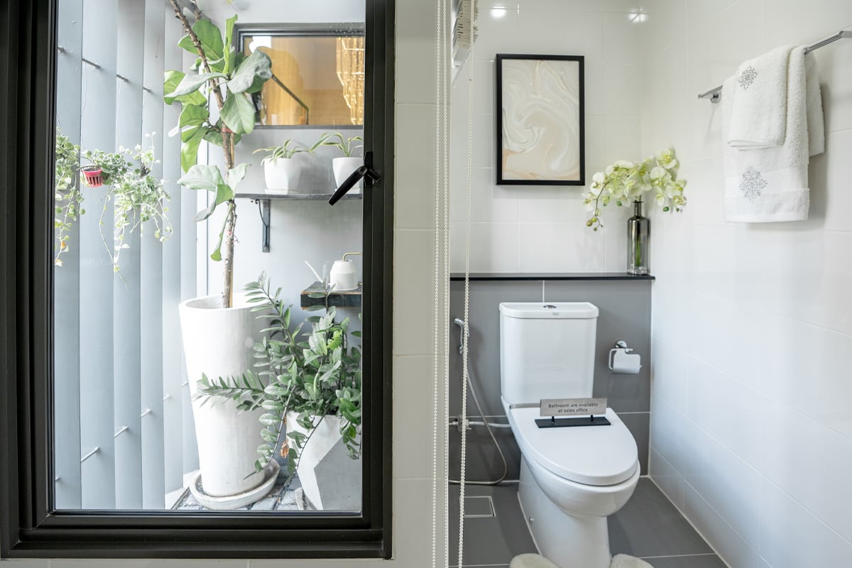 สวนแนวตั้งในห้องน้ำ