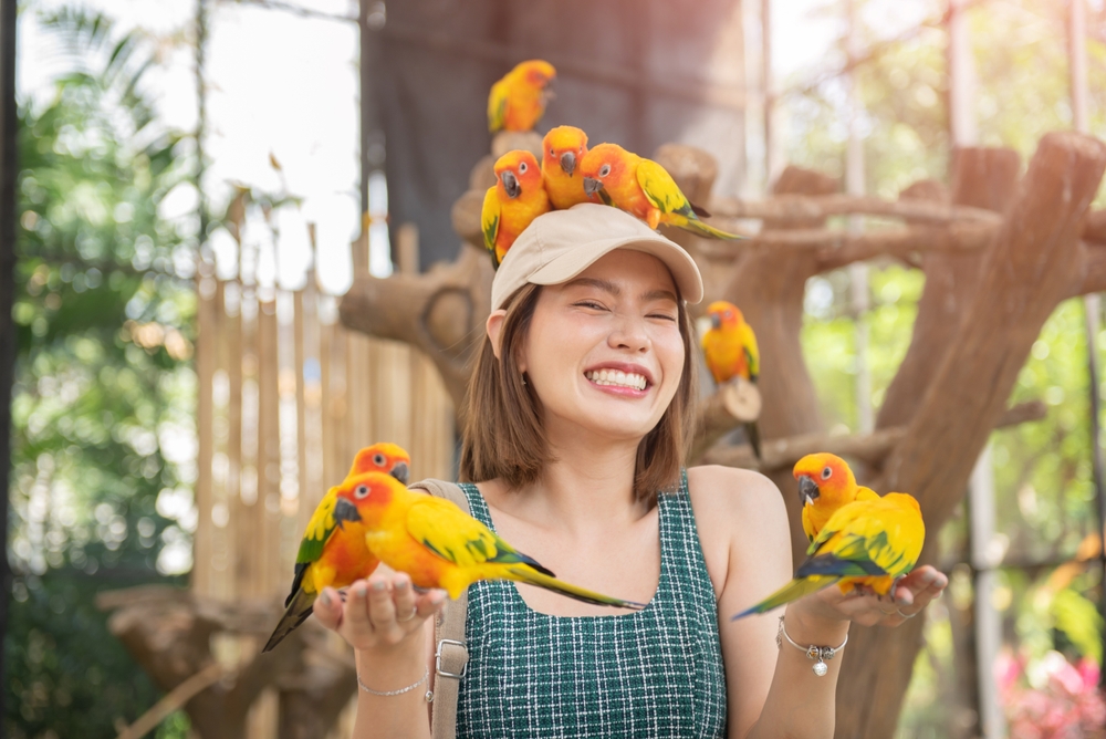 11_popular-parrot-species.jpg หญิงสาวมีความสุขท่ามกลางนกแก้ว