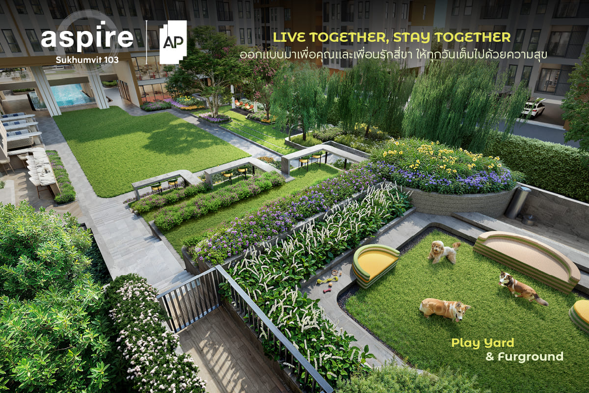05_pet-friendly-condominium.jpg คอนโดเลี้ยงสัตว์ได้ ASPIRE สุขุมวิท 103 ที่ลงตัวทุกไลฟ์สไตล์