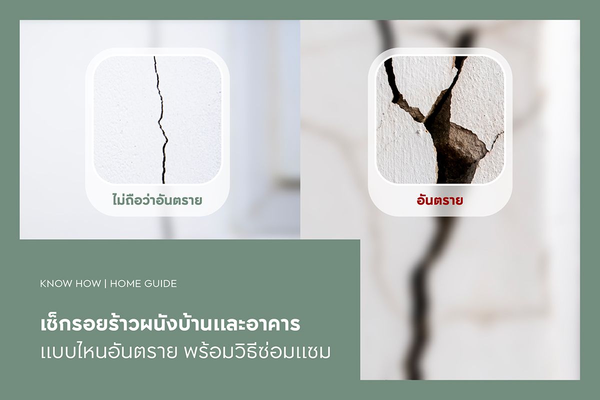 เช็กรอยร้าวผนังบ้านและอาคาร แบบไหนอันตราย พร้อมวิธีซ่อมแซม
